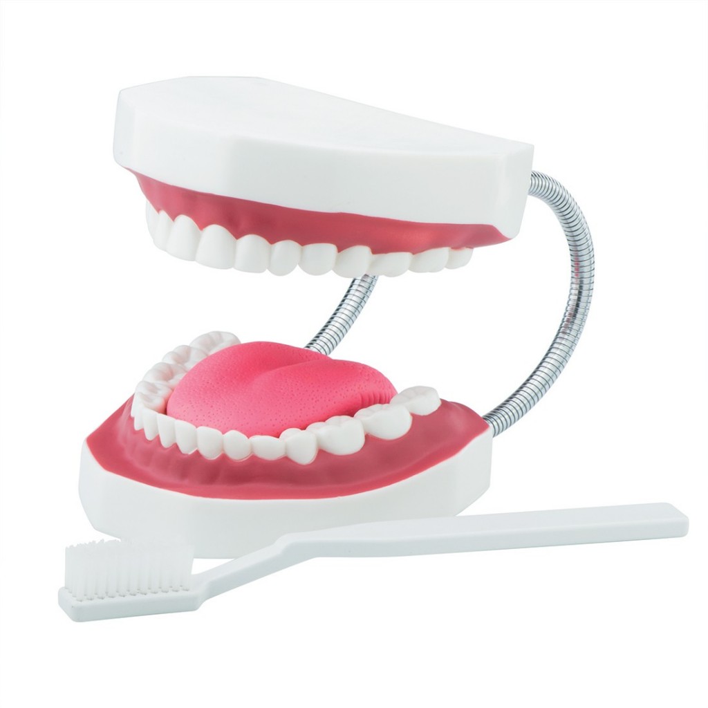 dentist deluxe set